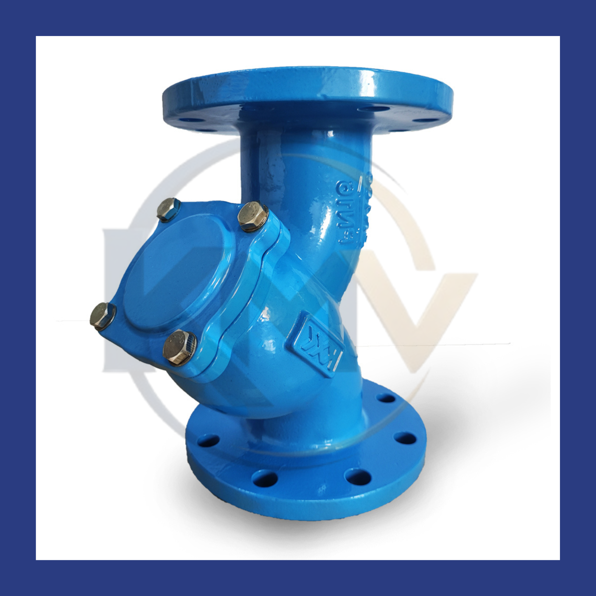 Carbon Steel Y-Strainer
